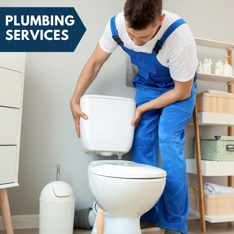Plumbing Company in Saint Bonifacius, MN